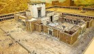 14590_3740_5317.jpg