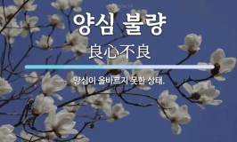 2025-04-19 16;07;35.PNG