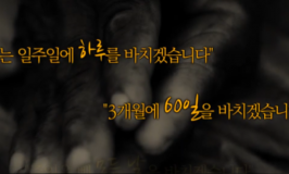 2026-01-03 11;01;16.PNG