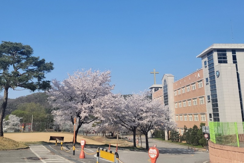 20241029224053_460a7580468476e8c20ad38e85bfad8d_ur4a (1).jpg