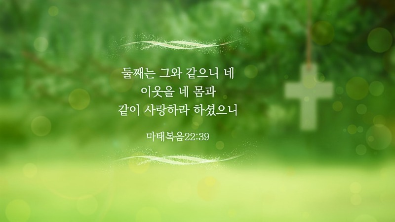 네-몸과-같이-사랑하라-하셨으니.jpg