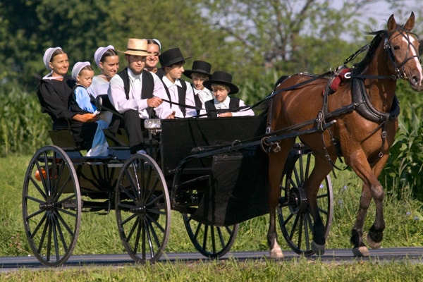 amish.jpg
